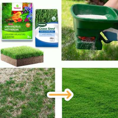 m s 1 easygrass HU v2